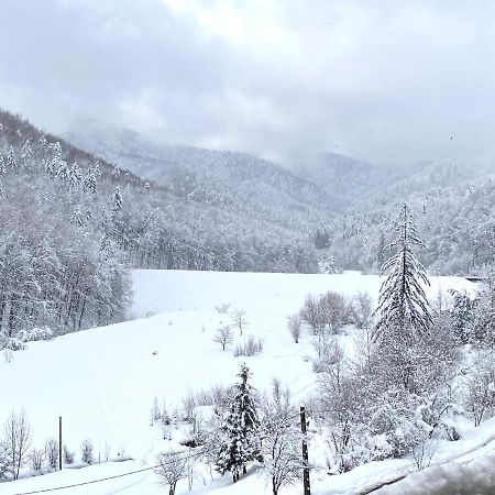 Nature View Apartment Braşov Eksteriør bilde