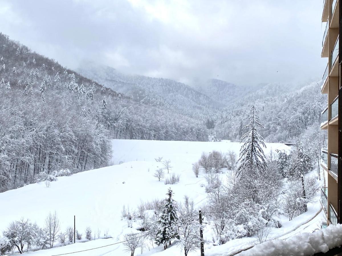 Nature View Apartment Braşov Eksteriør bilde