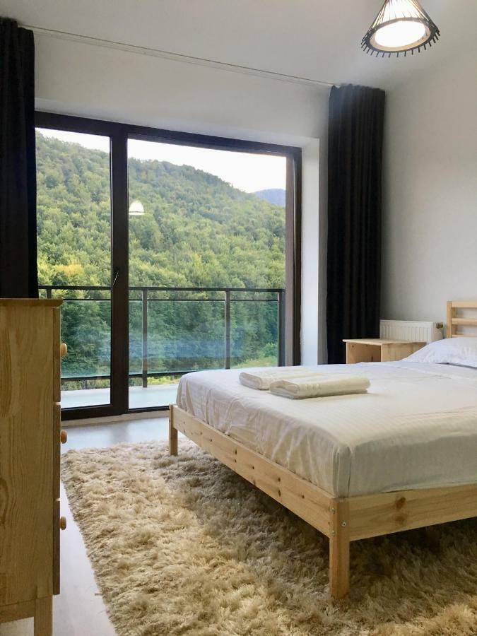 Nature View Apartment Braşov Eksteriør bilde