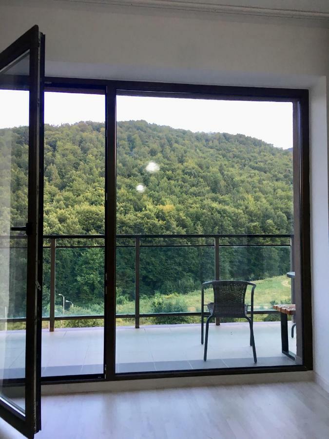 Nature View Apartment Braşov Eksteriør bilde