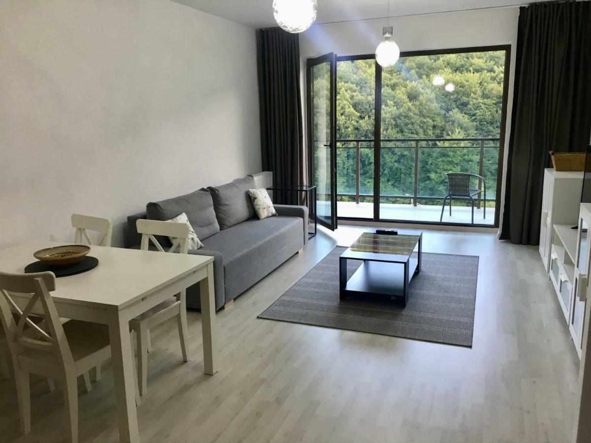 Nature View Apartment Braşov Eksteriør bilde