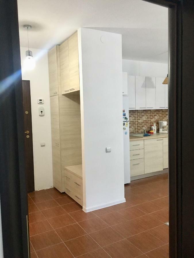 Nature View Apartment Braşov Eksteriør bilde